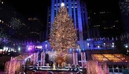 ny tree