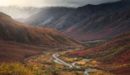 Dalton highway アラスカのバスルート