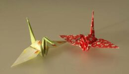 British-teen-folds-1000-origami-cranes-in-9-12-hours-for-Guinness-record