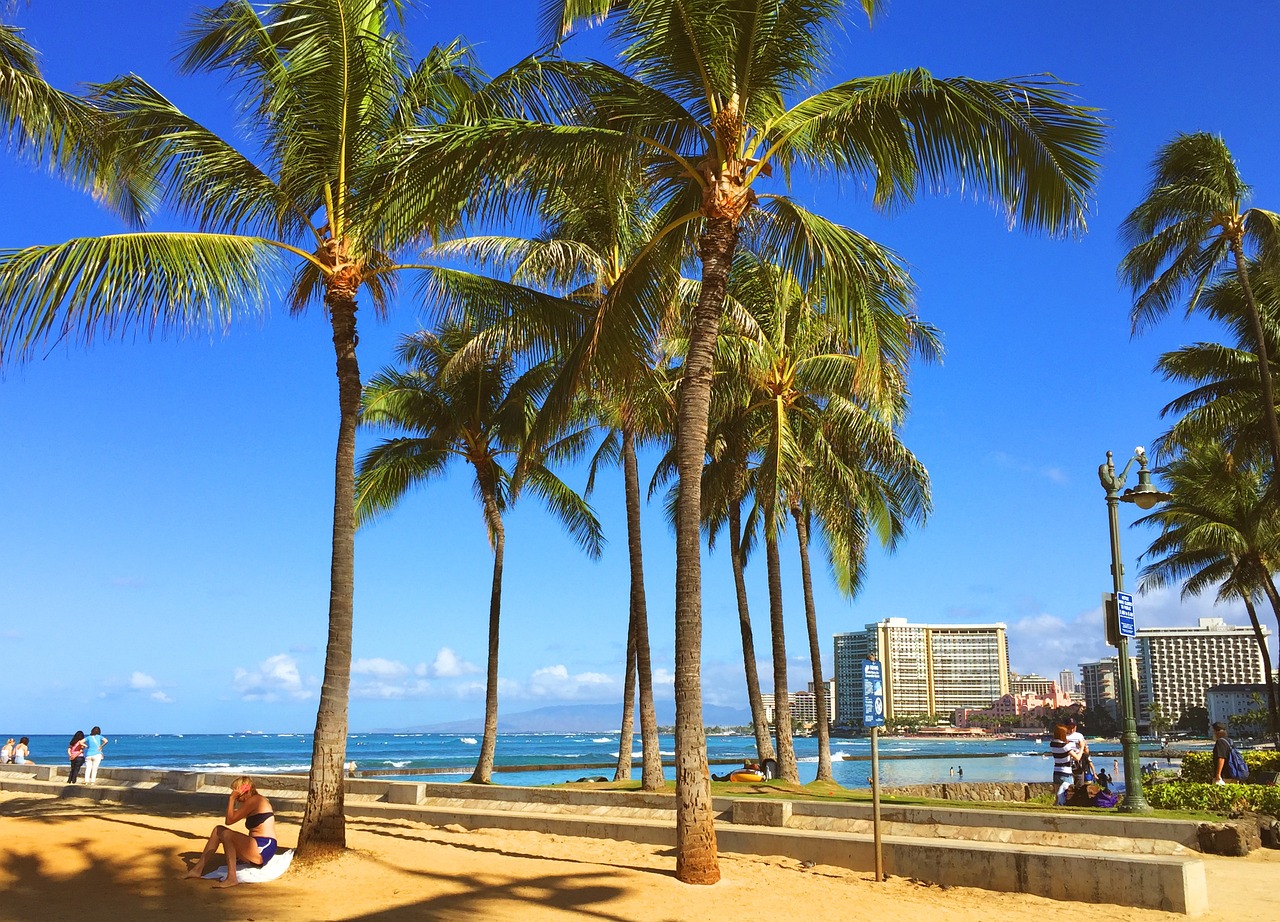 hawaii-4488224_1280