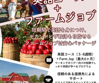 英語コース + ファームジョブ